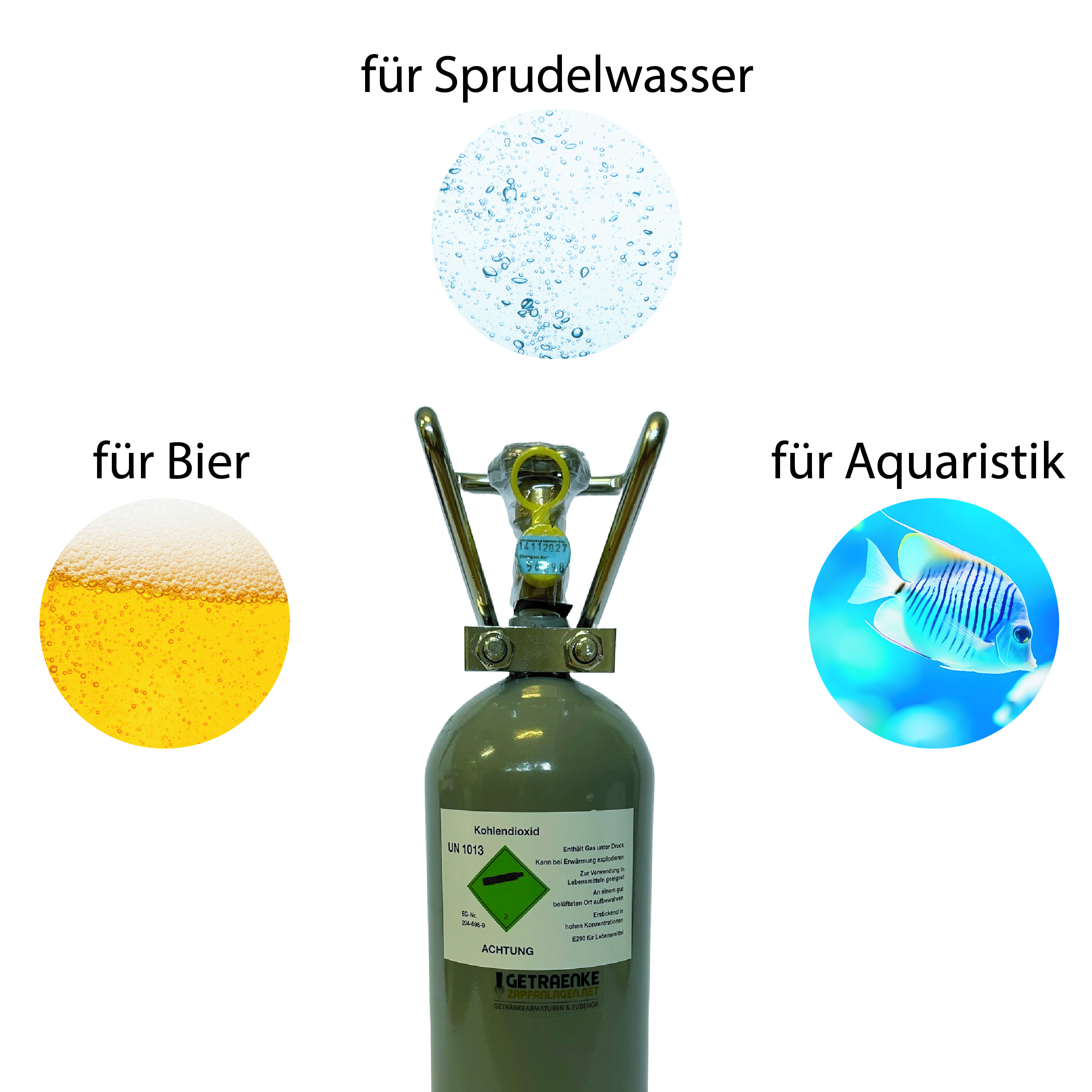 CO₂-Flasche kaufen – Alles über Haltbarkeit, Anwendung & richtige Wahl für Zapfanlage, Sprudelwasser & Aquaristik